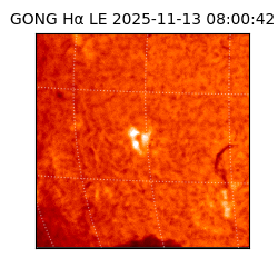 gong - 2025-11-13T08:00:42