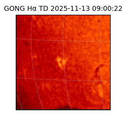 gong - 2025-11-13T09:00:22