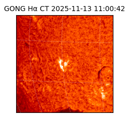 gong - 2025-11-13T11:00:42