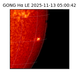 gong - 2025-11-13T05:00:42