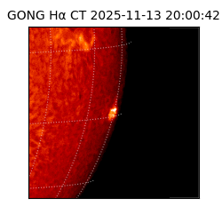 gong - 2025-11-13T20:00:42