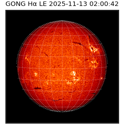 gong - 2025-11-13T02:00:42