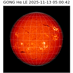 gong - 2025-11-13T05:00:42