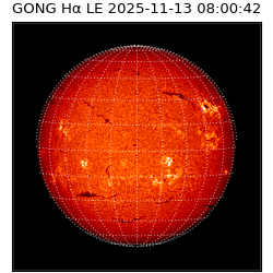gong - 2025-11-13T08:00:42