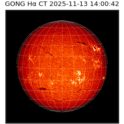 gong - 2025-11-13T14:00:42