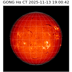 gong - 2025-11-13T19:00:42