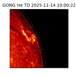 gong - 2025-11-14T10:00:22