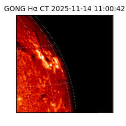 gong - 2025-11-14T11:00:42