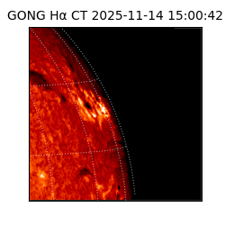 gong - 2025-11-14T15:00:42