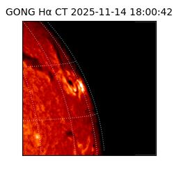 gong - 2025-11-14T18:00:42