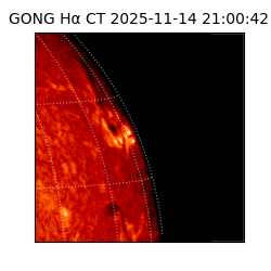 gong - 2025-11-14T21:00:42