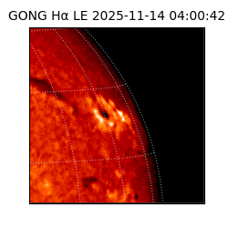 gong - 2025-11-14T04:00:42
