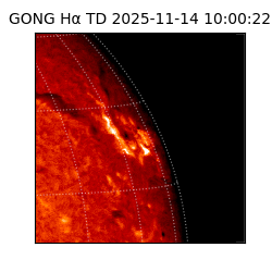gong - 2025-11-14T10:00:22