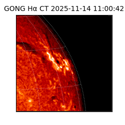 gong - 2025-11-14T11:00:42