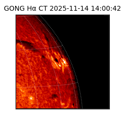 gong - 2025-11-14T14:00:42