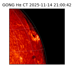 gong - 2025-11-14T21:00:42