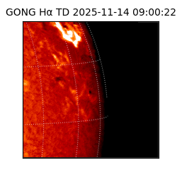 gong - 2025-11-14T09:00:22