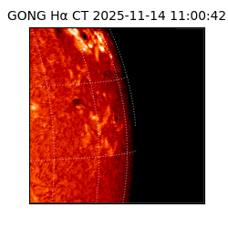 gong - 2025-11-14T11:00:42