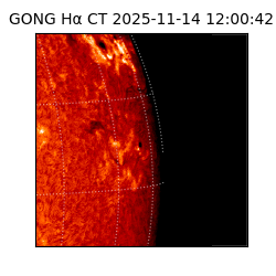 gong - 2025-11-14T12:00:42