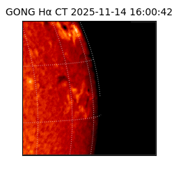 gong - 2025-11-14T16:00:42