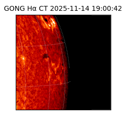 gong - 2025-11-14T19:00:42
