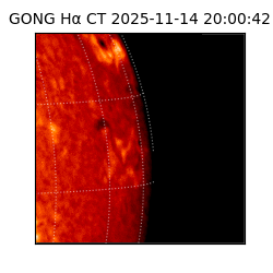 gong - 2025-11-14T20:00:42