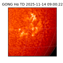 gong - 2025-11-14T09:00:22