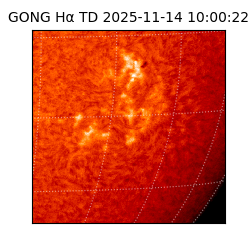 gong - 2025-11-14T10:00:22