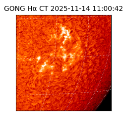 gong - 2025-11-14T11:00:42