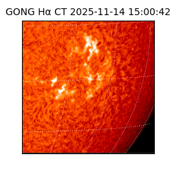 gong - 2025-11-14T15:00:42
