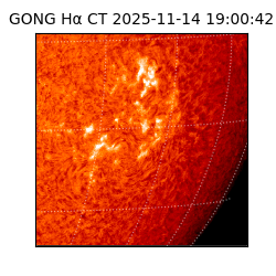 gong - 2025-11-14T19:00:42