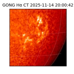 gong - 2025-11-14T20:00:42