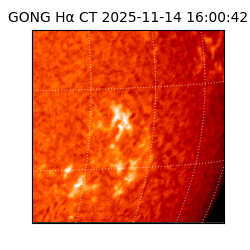 gong - 2025-11-14T16:00:42