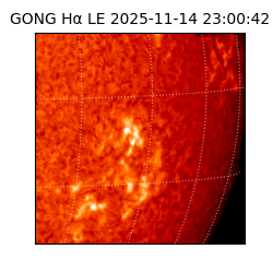 gong - 2025-11-14T23:00:42