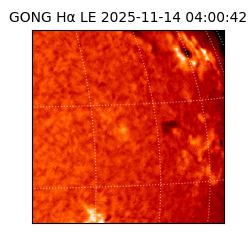 gong - 2025-11-14T04:00:42