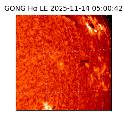 gong - 2025-11-14T05:00:42