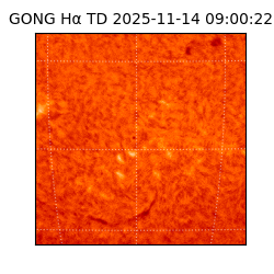 gong - 2025-11-14T09:00:22
