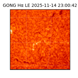 gong - 2025-11-14T23:00:42