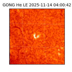 gong - 2025-11-14T04:00:42