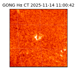 gong - 2025-11-14T11:00:42