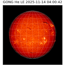 gong - 2025-11-14T04:00:42