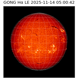gong - 2025-11-14T05:00:42