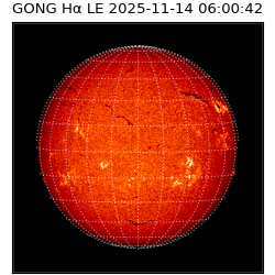 gong - 2025-11-14T06:00:42