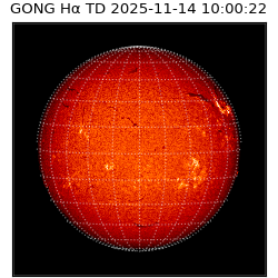 gong - 2025-11-14T10:00:22