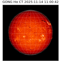gong - 2025-11-14T11:00:42