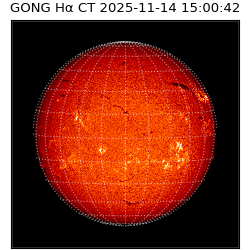 gong - 2025-11-14T15:00:42