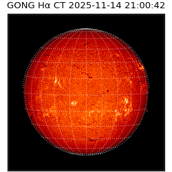 gong - 2025-11-14T21:00:42