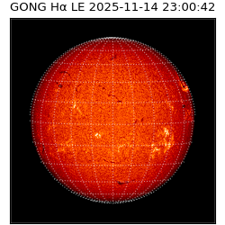gong - 2025-11-14T23:00:42