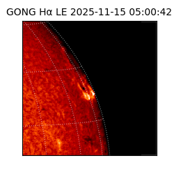 gong - 2025-11-15T05:00:42
