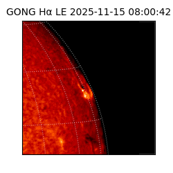 gong - 2025-11-15T08:00:42